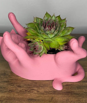 Decorative Cat-Shaped Pots for Succulent Plants – Set of 3