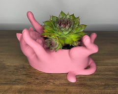 Decorative Cat-Shaped Pots for Succulent Plants – Set of 3