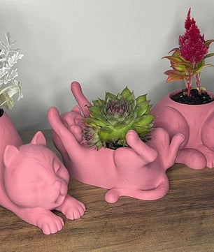 Decorative Cat-Shaped Pots for Succulent Plants – Set of 3