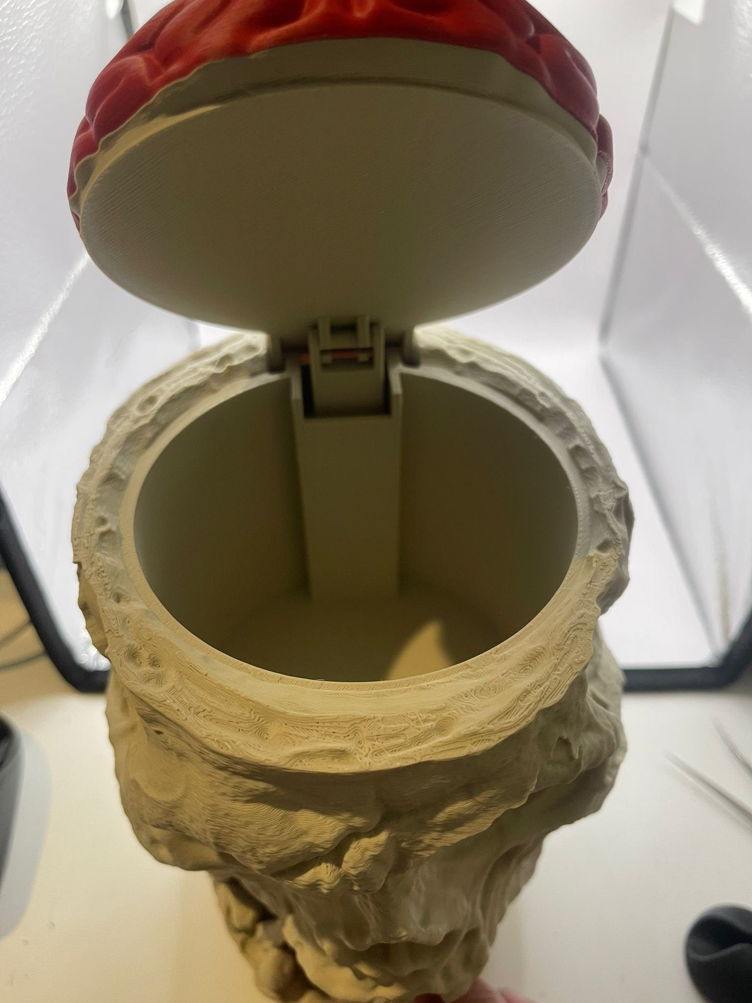 Zombie Decorative Container with Brain: Ideal for Horror Fans