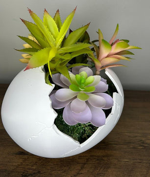 Succulent Arrangement in Cracked Egg Planter – Modern and Elegant Style