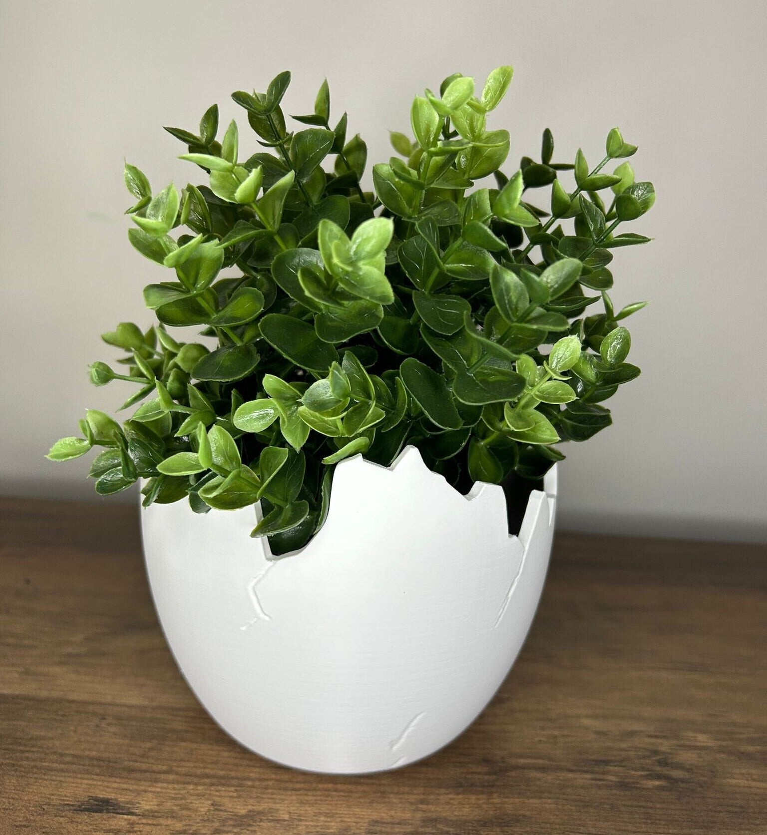 Succulent Arrangement in Cracked Egg Planter – Modern and Elegant Style