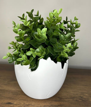 Succulent Arrangement in Cracked Egg Planter – Modern and Elegant Style