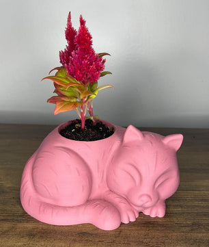 Decorative Cat-Shaped Pots for Succulent Plants – Set of 3
