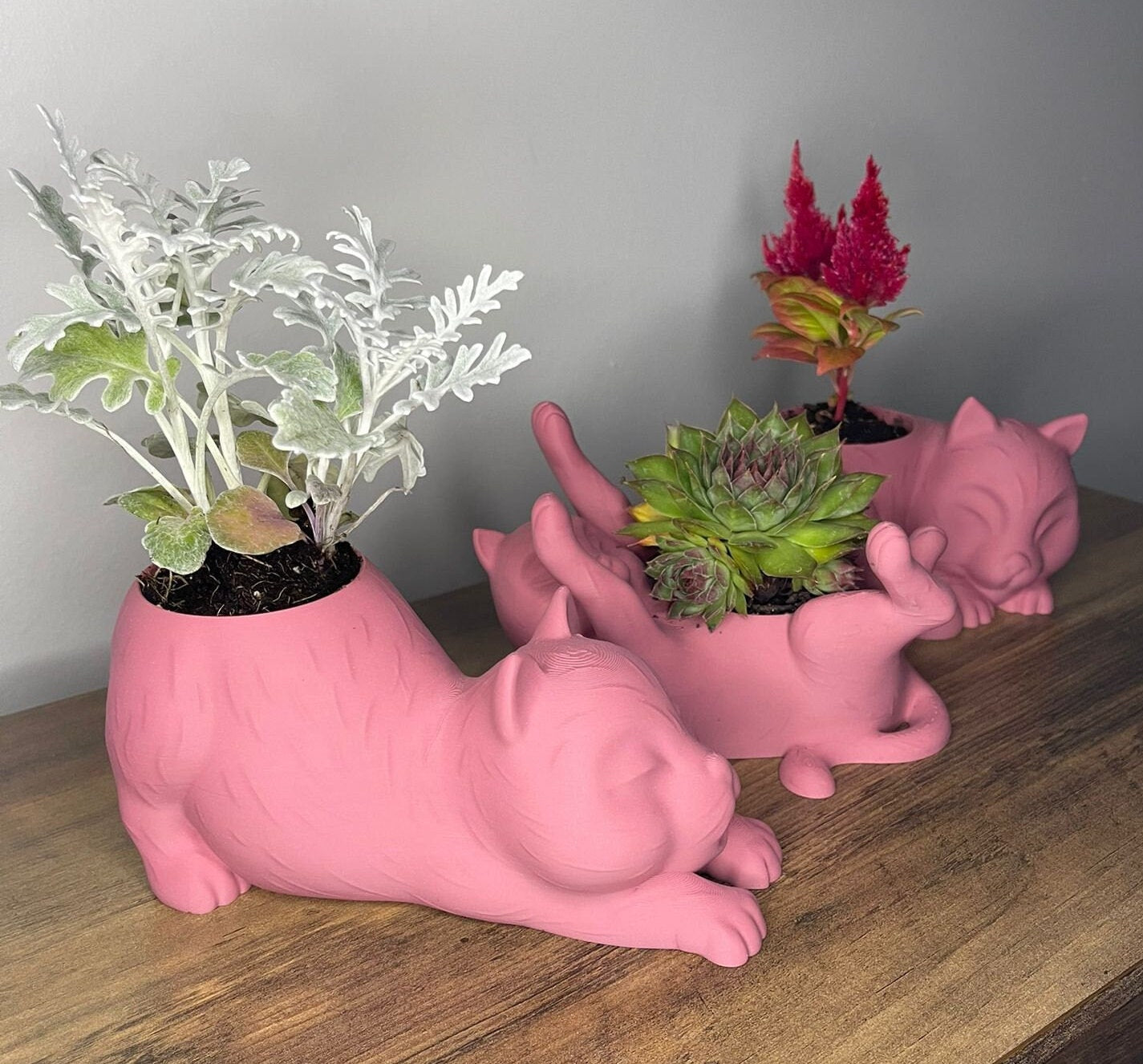 Decorative Cat-Shaped Pots for Succulent Plants – Set of 3