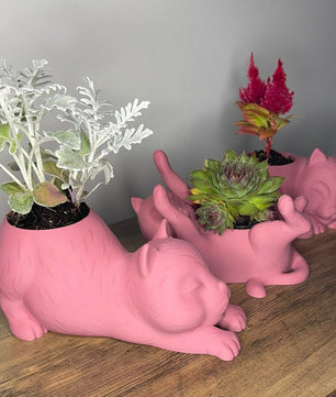 Decorative Cat-Shaped Pots for Succulent Plants – Set of 3