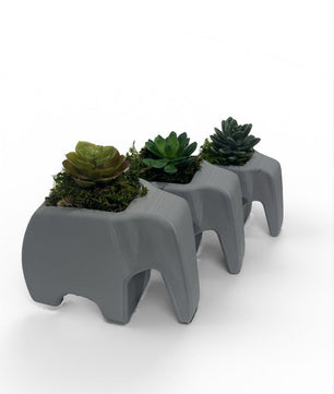 Elephant Planter Trio – Modern Jungle Decor