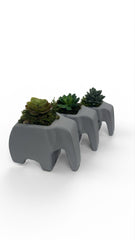 Elephant Planter Trio – Modern Jungle Decor