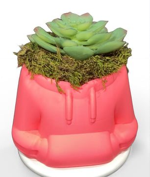 HoodieBloom planter