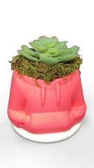 HoodieBloom planter