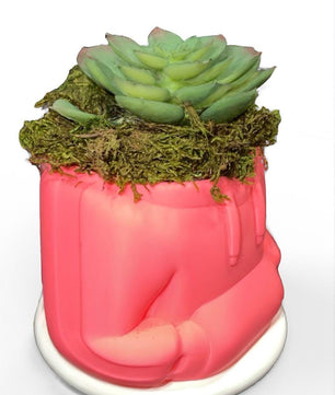 HoodieBloom planter