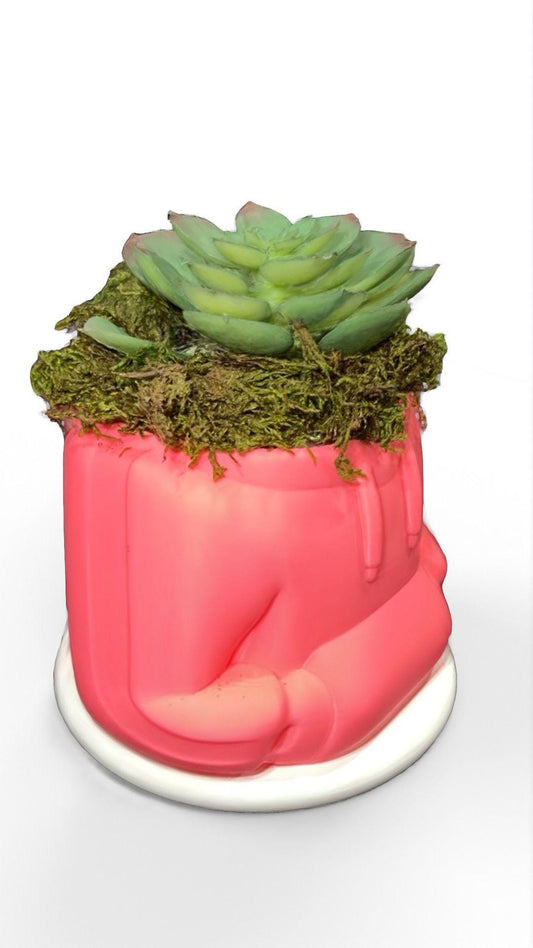 HoodieBloom planter