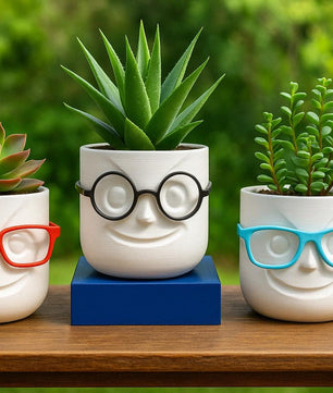 Decorative Planter with Glasses | 3D Printed Face Planter | 4x4x4 in | Fun Gift for Office or Home
