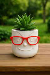 Decorative Planter with Glasses | 3D Printed Face Planter | 4x4x4 in | Fun Gift for Office or Home
