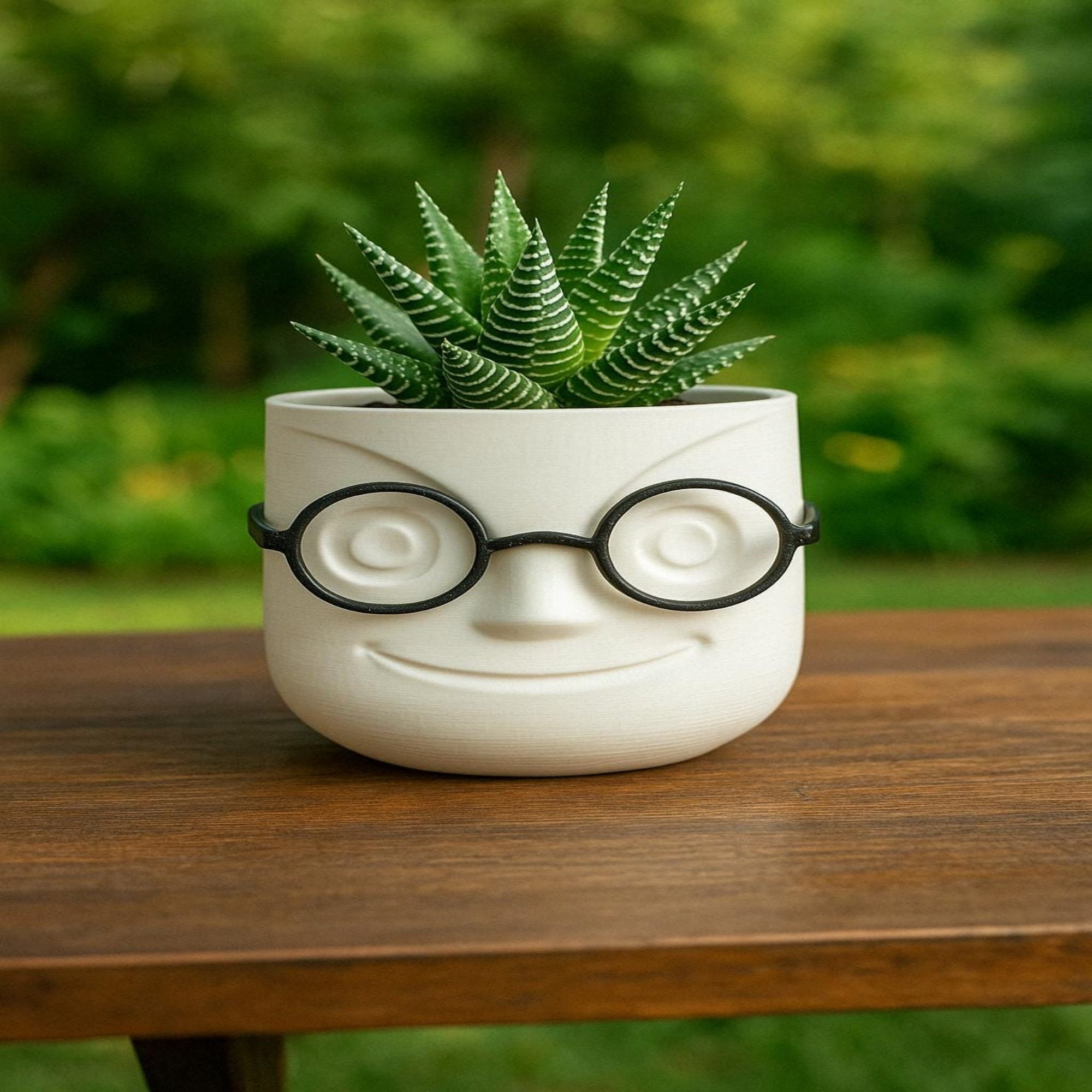 Decorative Planter with Glasses | 3D Printed Face Planter | 4x4x4 in | Fun Gift for Office or Home