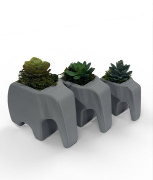 Elephant Planter Trio – Modern Jungle Decor