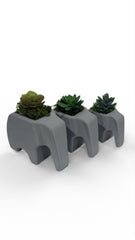 Elephant Planter Trio – Modern Jungle Decor