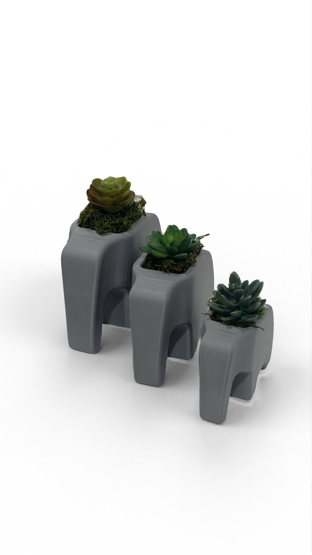 Elephant Planter Trio – Modern Jungle Decor