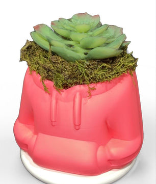 HoodieBloom planter
