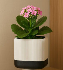 Modern 3D Printed Planter with Drainage Tray