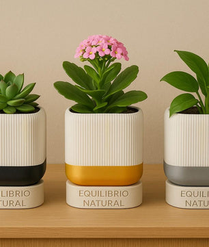 Modern 3D Printed Planter with Drainage Tray
