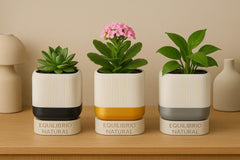 Modern 3D Printed Planter with Drainage Tray