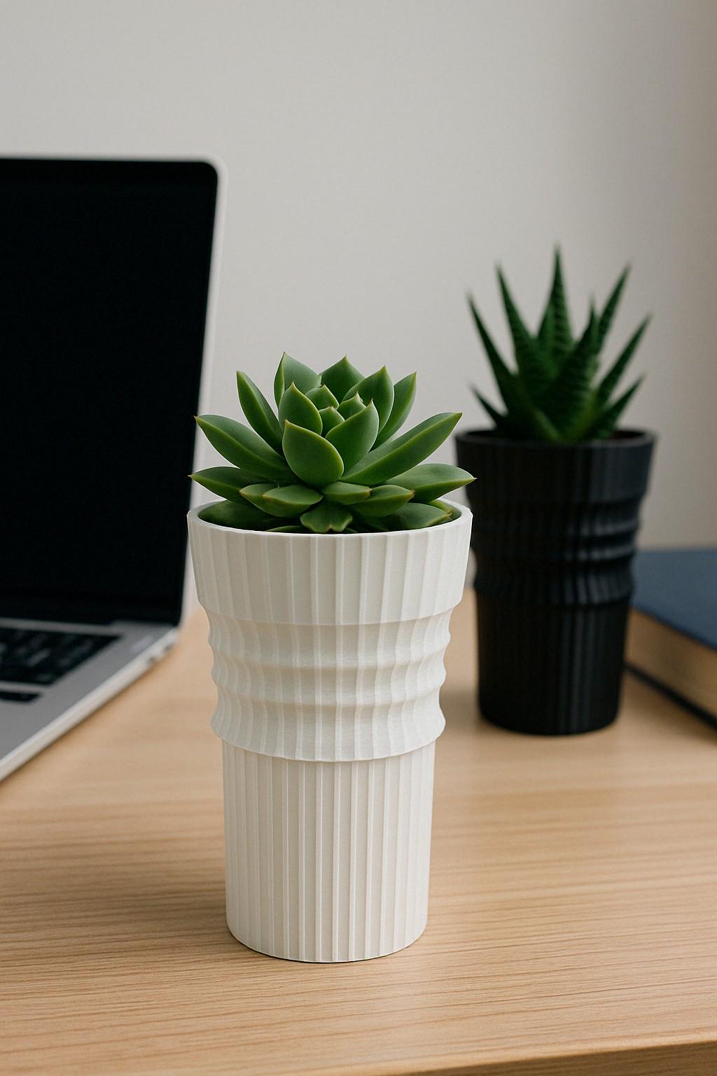 Modern 3D Printed Planters | Cylindrical Design with Reliefs | Black and White | 6 x 3.5 inches | Minimalist Decor