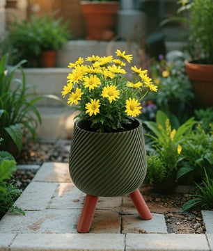 Olive planter Pot