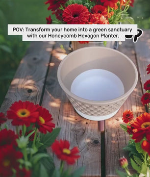Honeycomb Hexagon Design